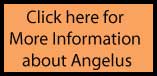 Angelus Videos Angelus Leather Glitterite Paint